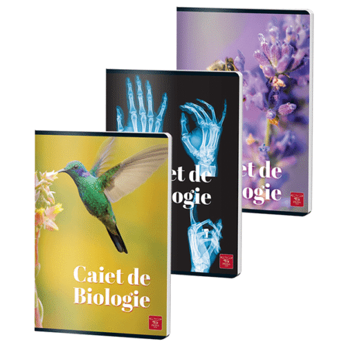 Caiet biologie A4 Pigna 24 file