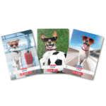 Caiet A5 48 file Herlitz