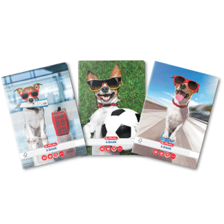 Caiet A5 48 file Herlitz