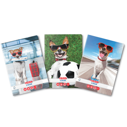 Caiet A5 48 file Herlitz