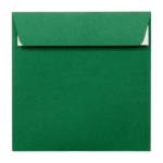 Plic verde patrat 16x16