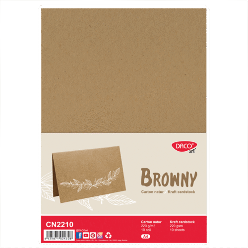Carton natur Browny DacoArt 10 coli