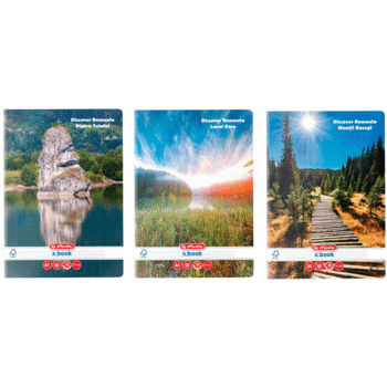 Caiet A4 60 file Herlitz