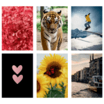 Caiet spira A5 80 file Ecada