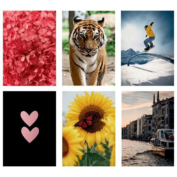 Caiet spira A5 80 file Ecada Caiet spira A5 80 file Ecada