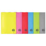 Caiet A4 100 file coperta plastic Daco