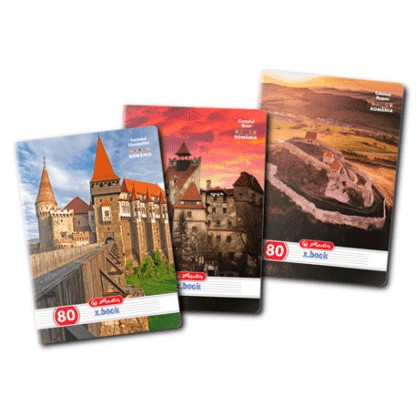 Caiet A4 80 file Herlitz