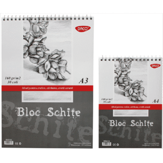 Bloc schite 160g Daco
