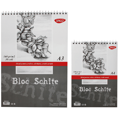 Bloc schite 160g Daco