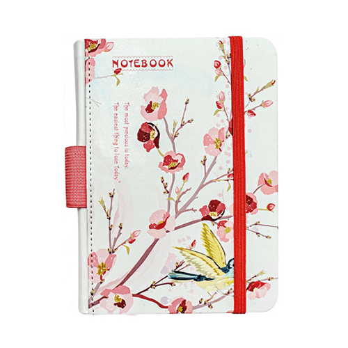 Agenda nedatata Daco AN618F Agenda nedatata 105 x 148 mm Daco AN618F - imagine 1