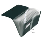 Mapa plastic buton cu elastic A4 Herlitz EOTG 12 compartimente si index