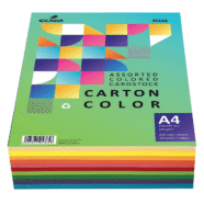Carton colorat asortat Ecada A4 160g 10 culori 250 coli