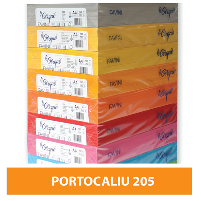 Carton colorat A4 160g Favini 205 - portocaliu