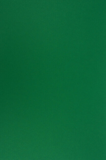 Carton colorat A4 160g - verde padure