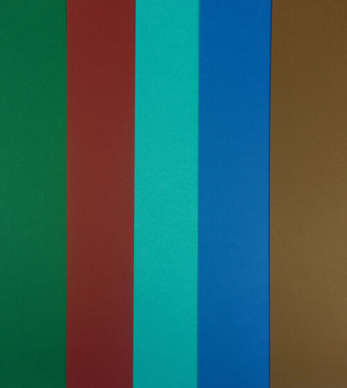 Carton colorat A4 160g - verde padure