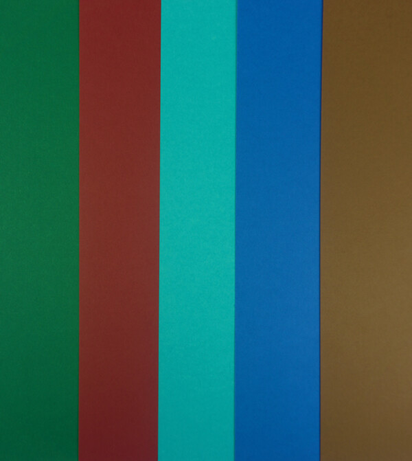 Carton colorat A4 160g - verde padure