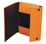 Mapa cu arici din carton 340