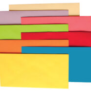 plic colorat verde inchis